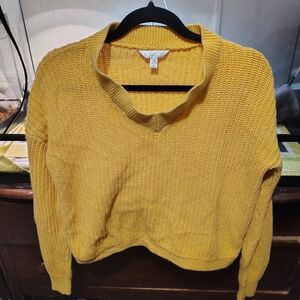 Time and Tru Mustard V-Neck Sweater
